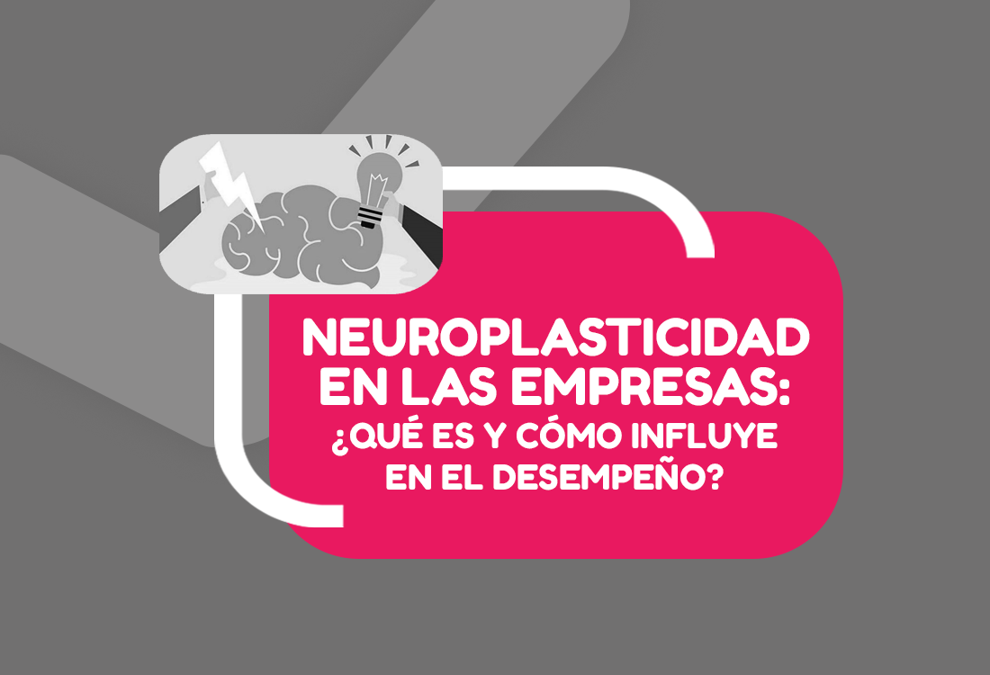 Neuroplasticidad en las empresas Qué es y cómo influye en el