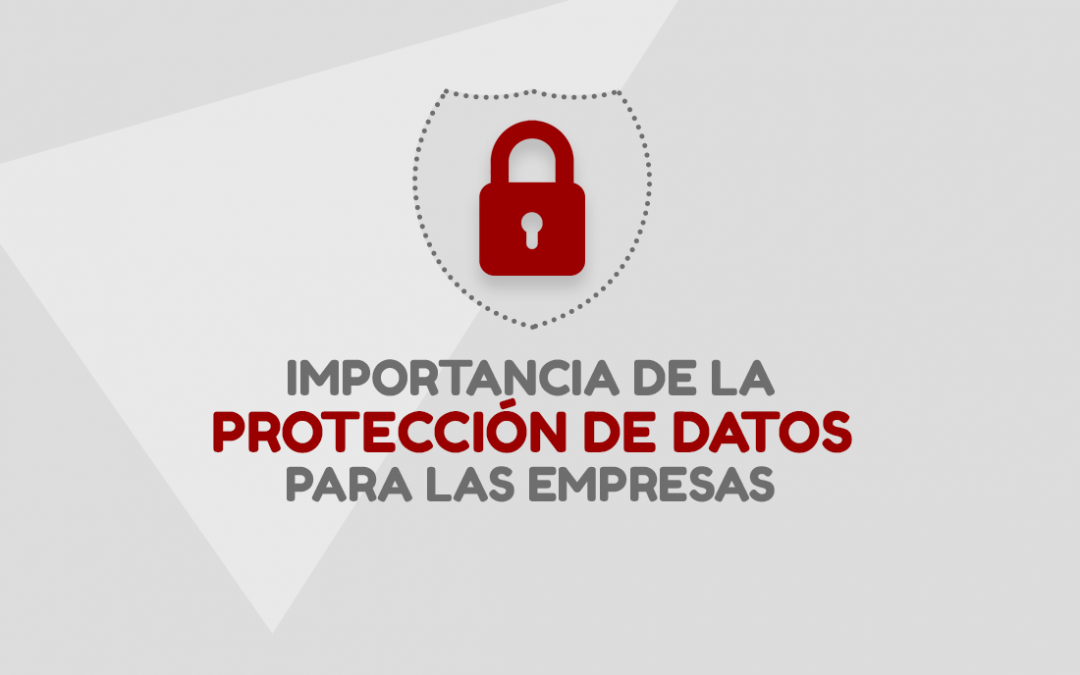 Importancia de la protección de datos para las empresas