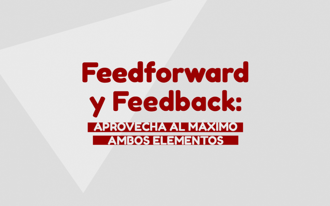 Feedforward Y Feedback: Aprovecha Al Máximo Ambos Elementos