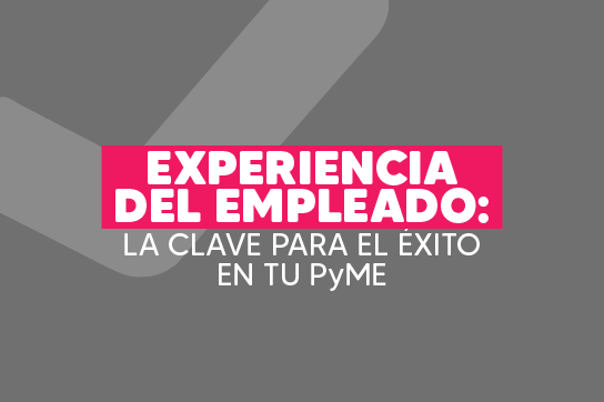 Experiencia del empleado: La clave para el éxito en tu PyME